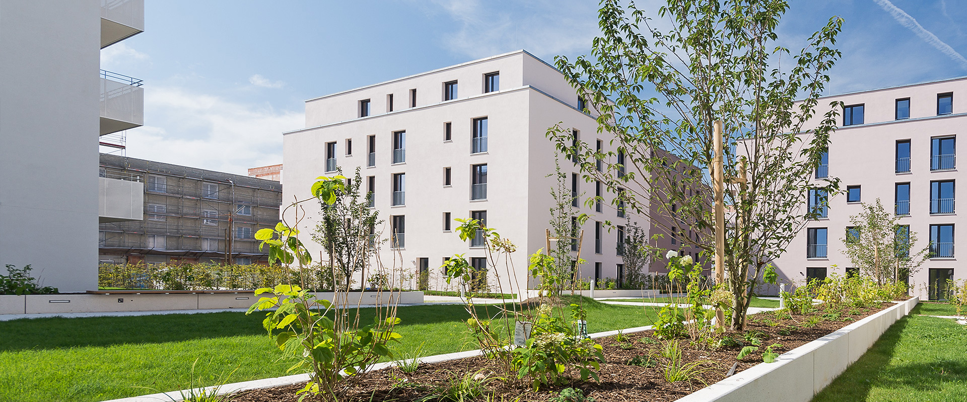 Domagkstraße. Mehrfamilienhäuser München Schwabing